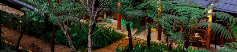Alba-ra Homestay Măng Đen: Chốn Bình Yên Giữa Rừng Thông