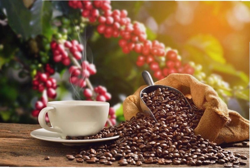 Ảnh cốc cafe đẹp với đá và trang trí lá bạc hà