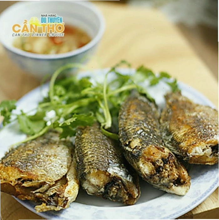 Ánh đèn phản chiếu trên mặt nước sông Hậu