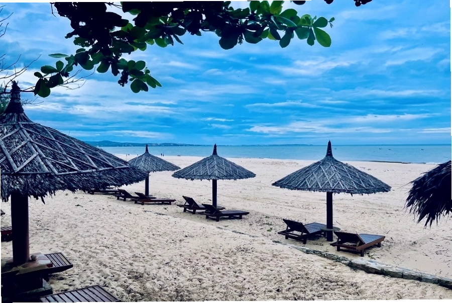 Bãi biển tại resort Sea Lion Beach Resort Mũi Né