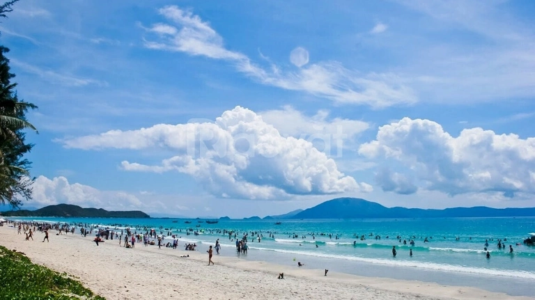Bãi Biển Trà Cổ Quảng Ninh: Khám Phá Bãi Biển Dài Nhất Việt Nam