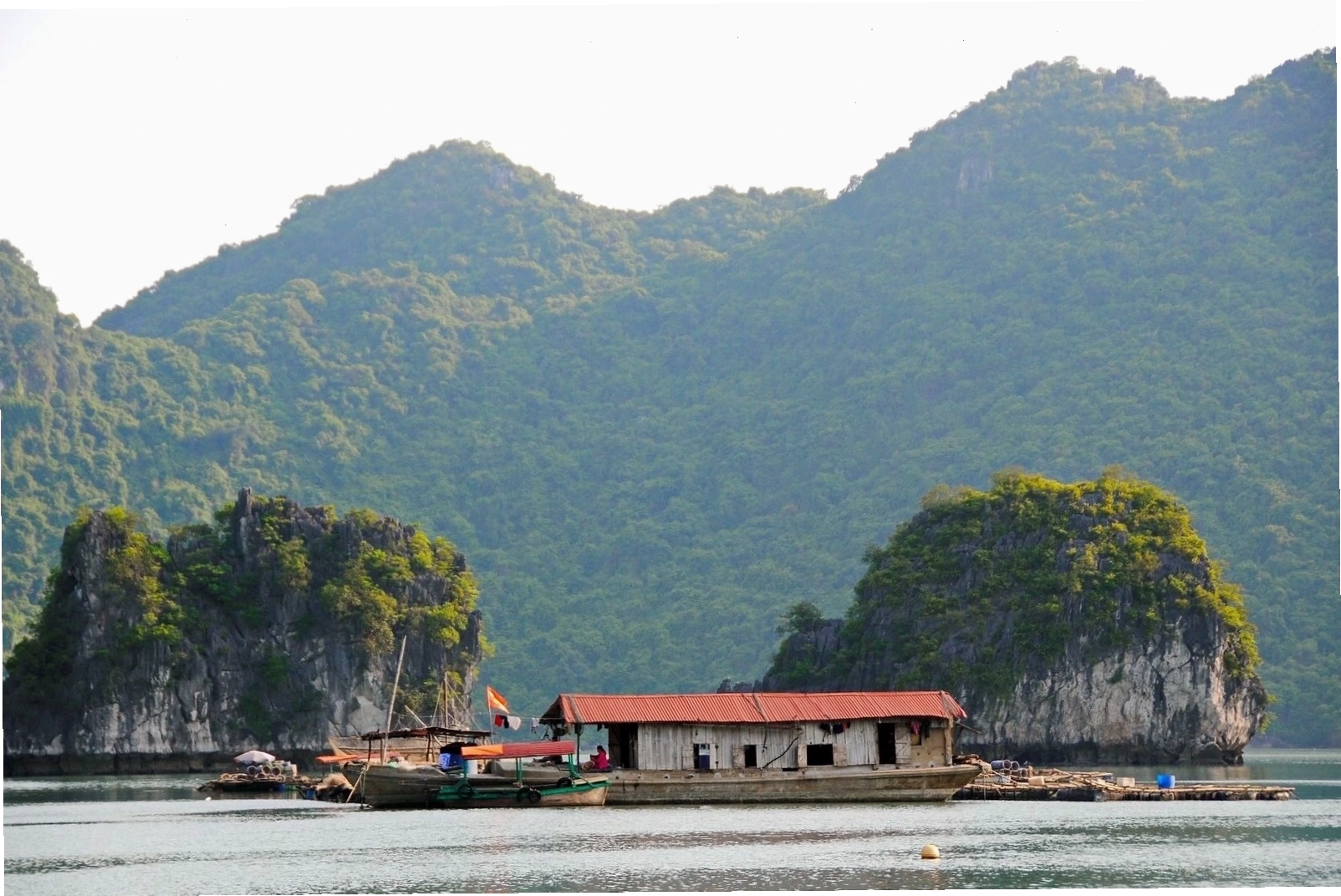 Bãi Cát Cò Cát Bà với bờ cát trắng mịn