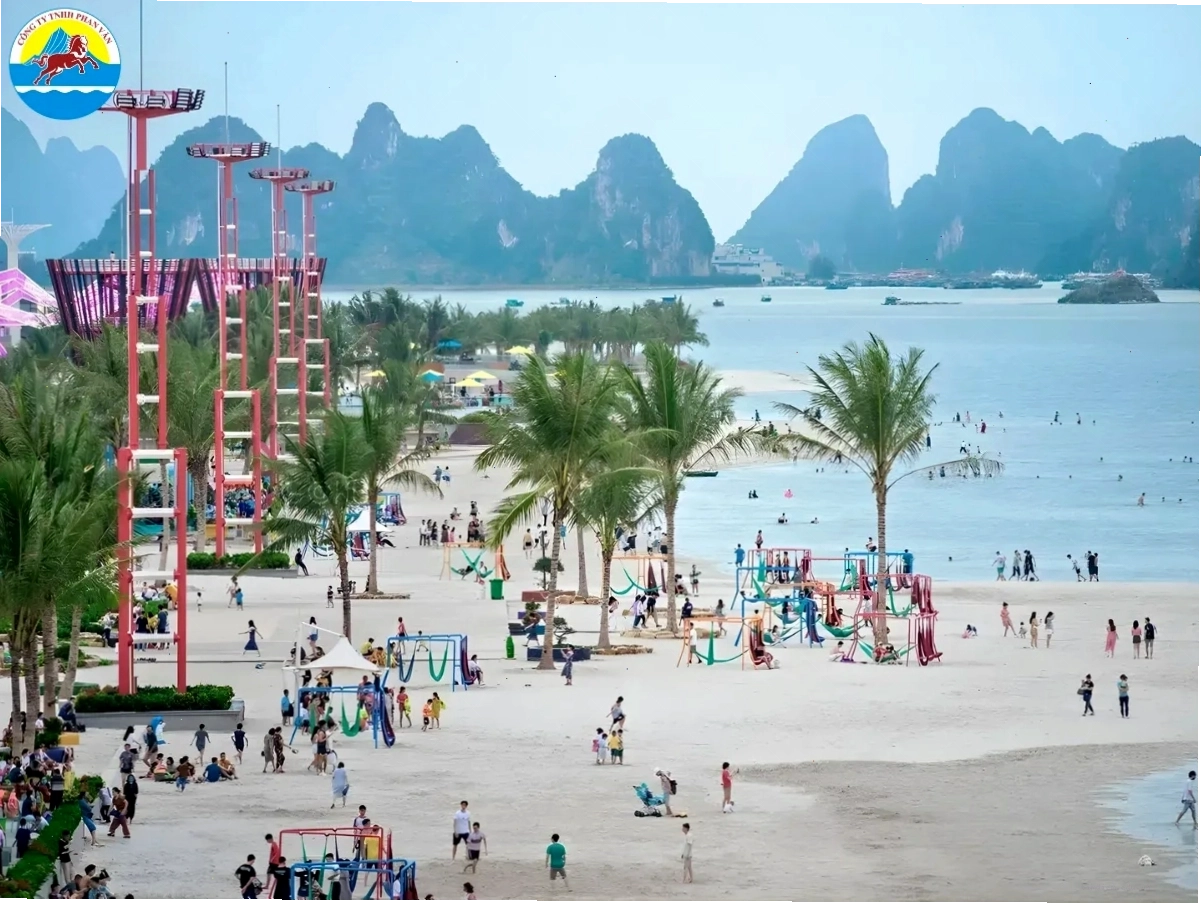 Bãi Dài Vân Đồn hoang sơ với cát trắng và hàng phi lao xanh mướt