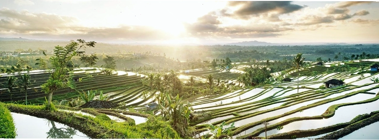 Bali Luxury Villas