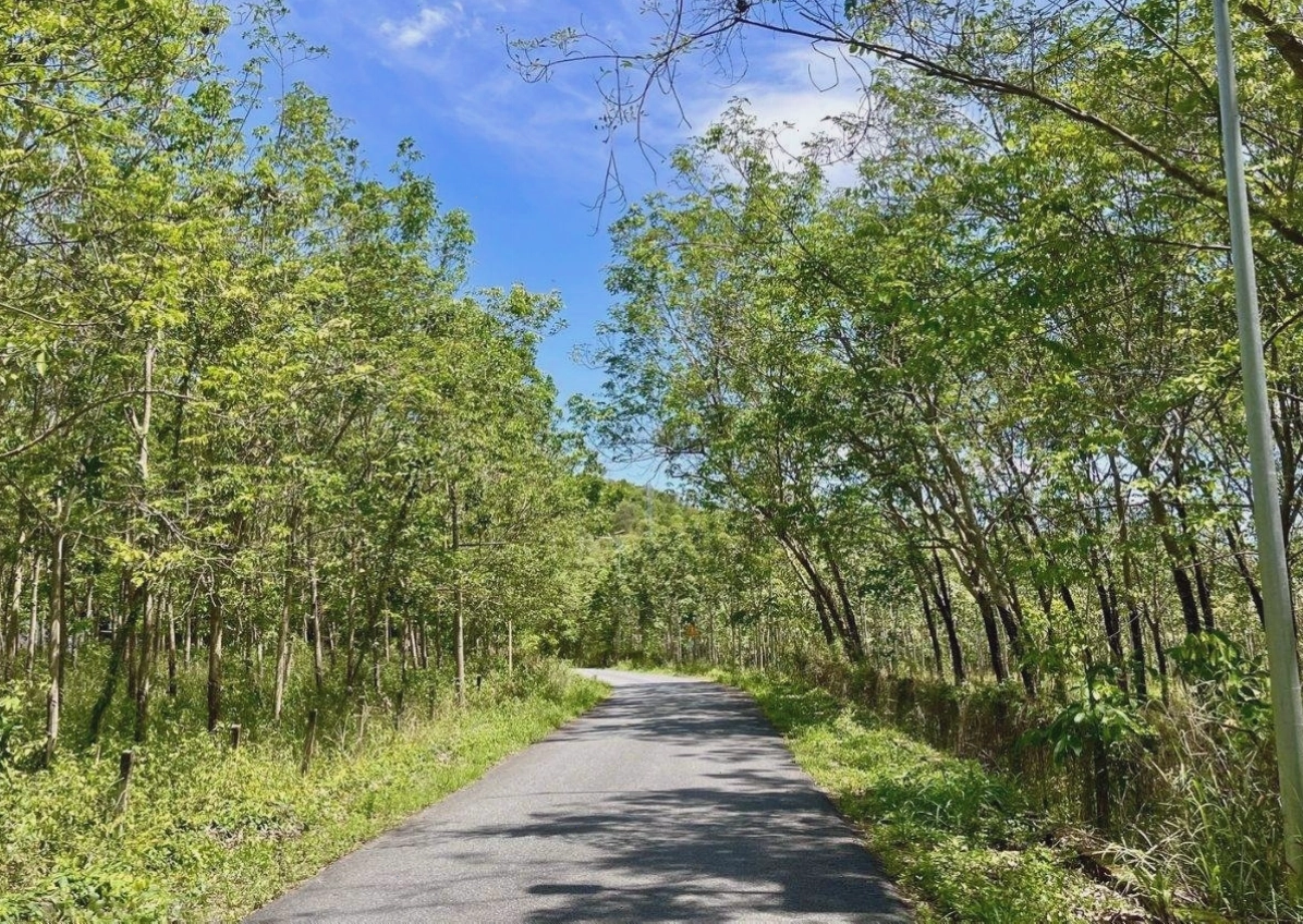 Bản đồ minh họa đường đi đến Suối Trúc Tây Ninh