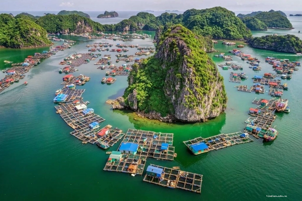 Bản đồ Vịnh Lan Hạ và Làng chài Cái Bèo