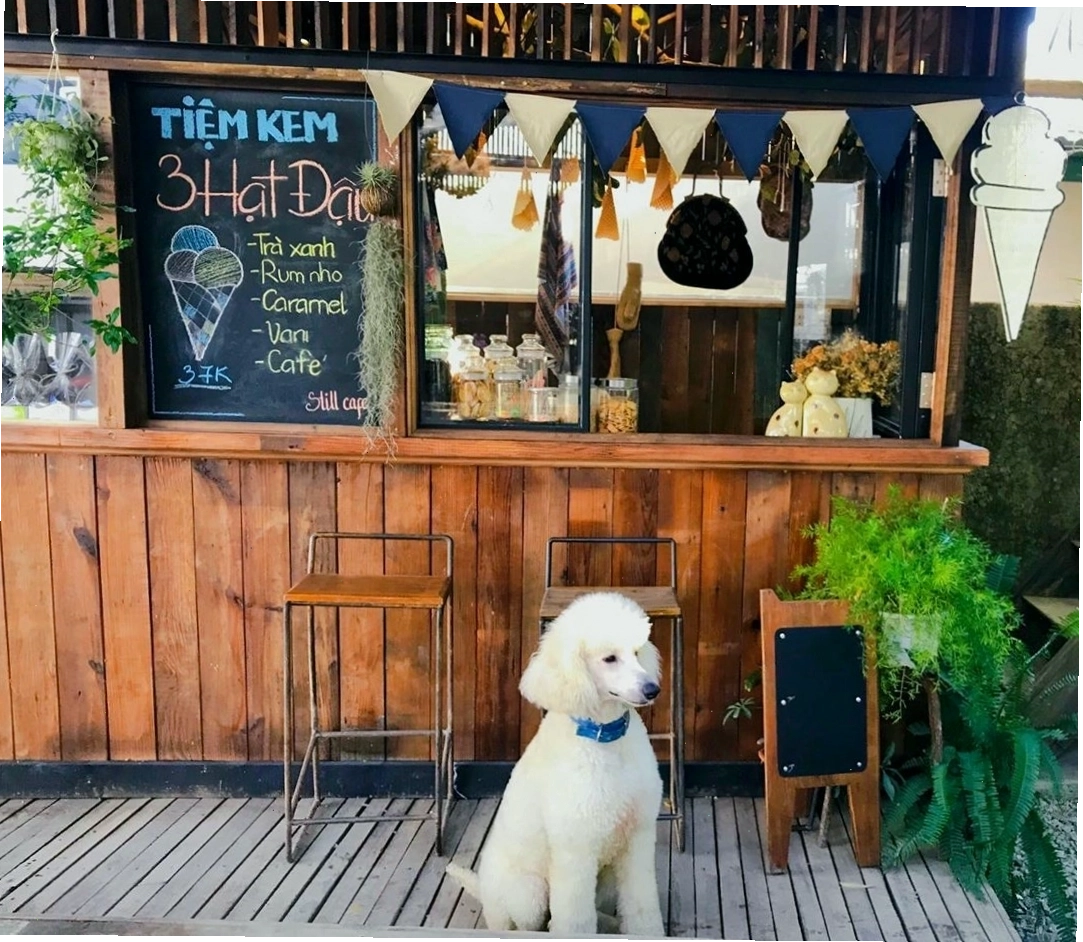 Bàn ghế gỗ mộc mạc tại Still Cafe