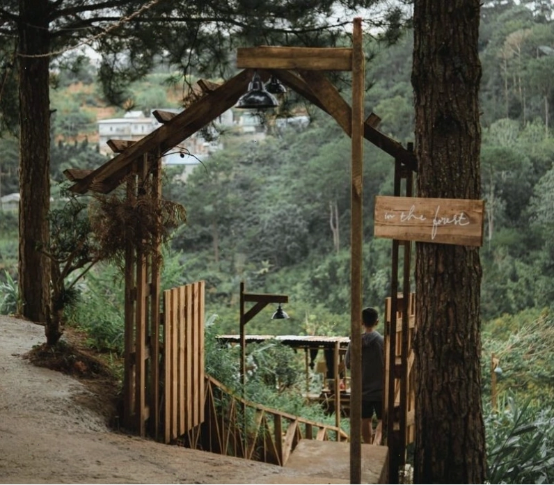 Bàn ghế gỗ mộc mạc tạo cảm giác ấm cúng tại Forest Cafe