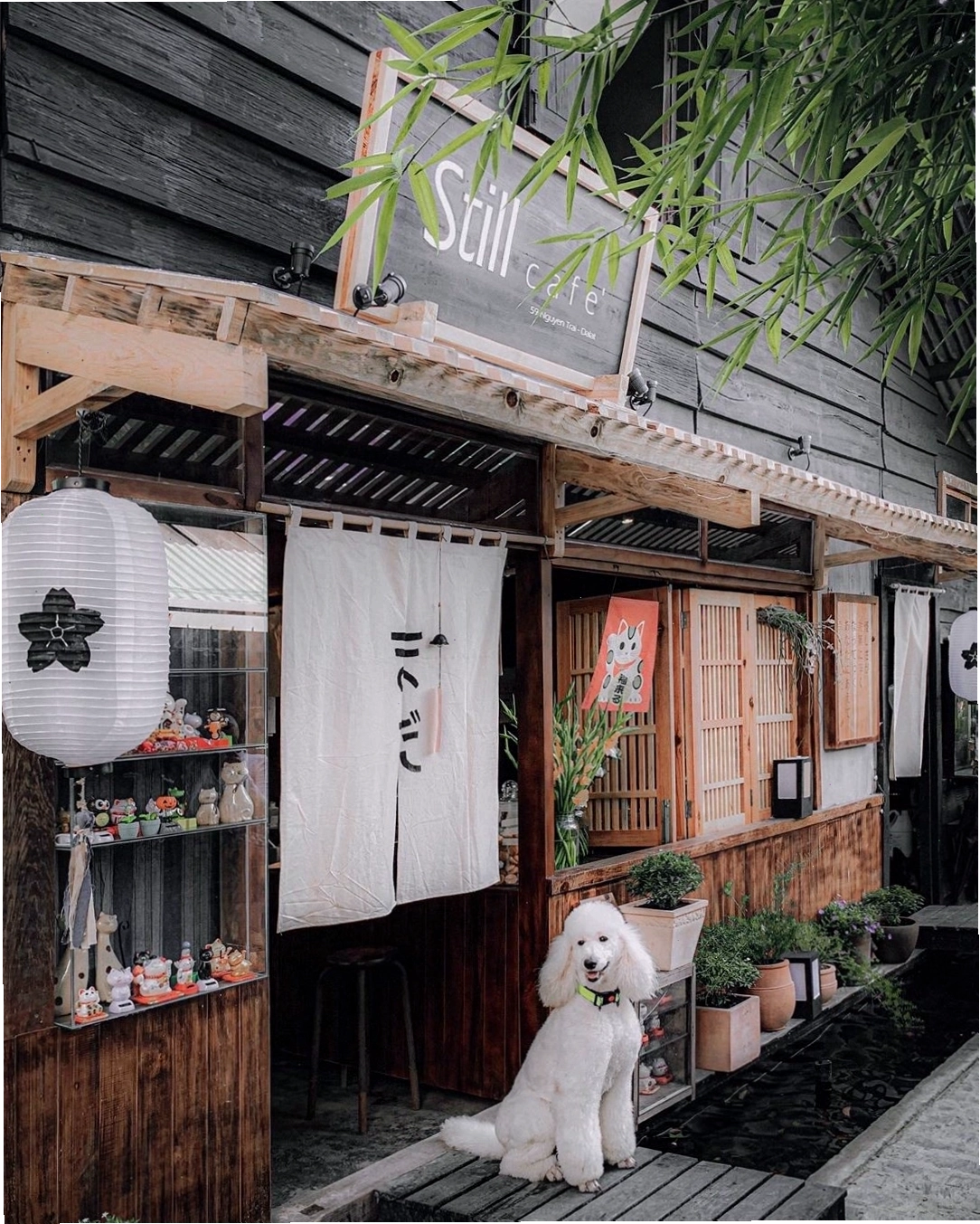 Bàn ghế mộc mạc bên trong Still Cafe