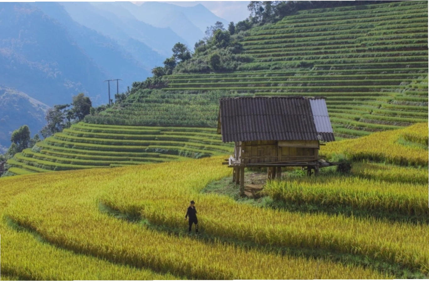 Bản Lao Chải yên bình dưới chân núi, bao quanh là ruộng bậc thang