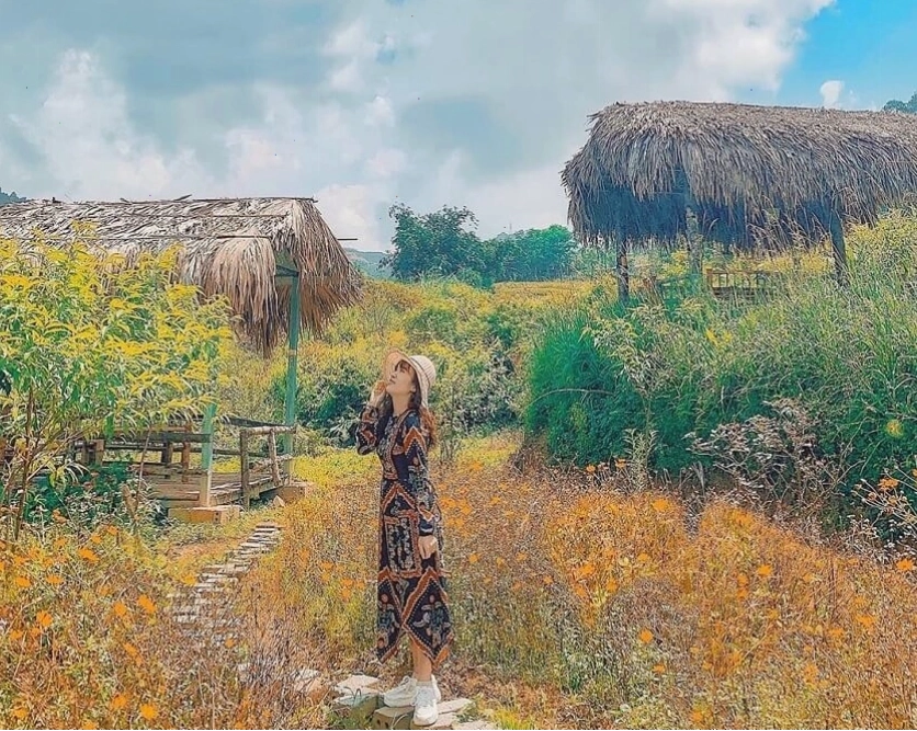 Bản Tả Phìn Sapa với cảnh quan thiên nhiên và văn hóa dân tộc đặc sắc