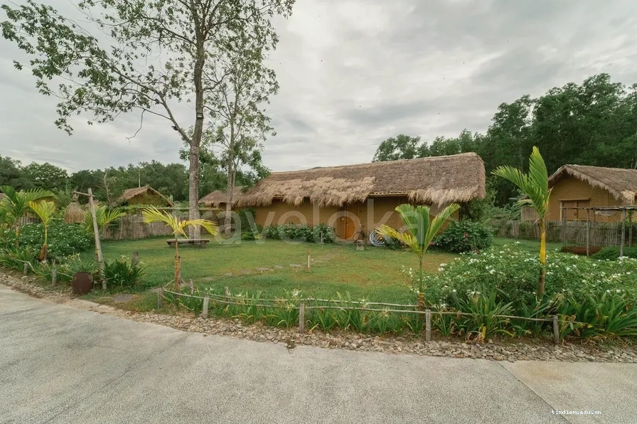 Bàn tiệc ẩm thực tại nhà hàng của Alba Wellness Resort Huế