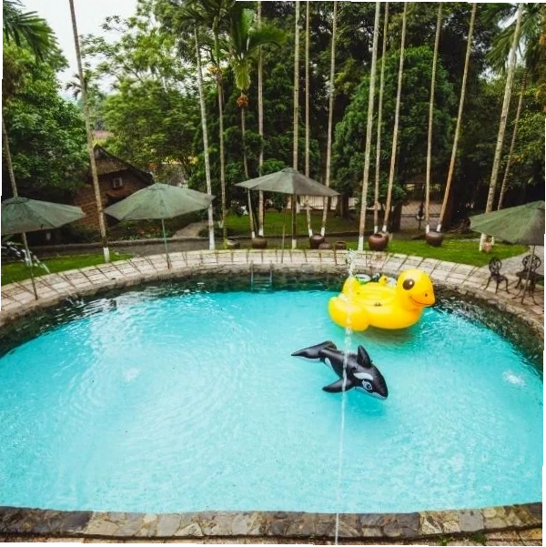 Bavi Homestead - điểm dừng chân lý tưởng cho gia đình