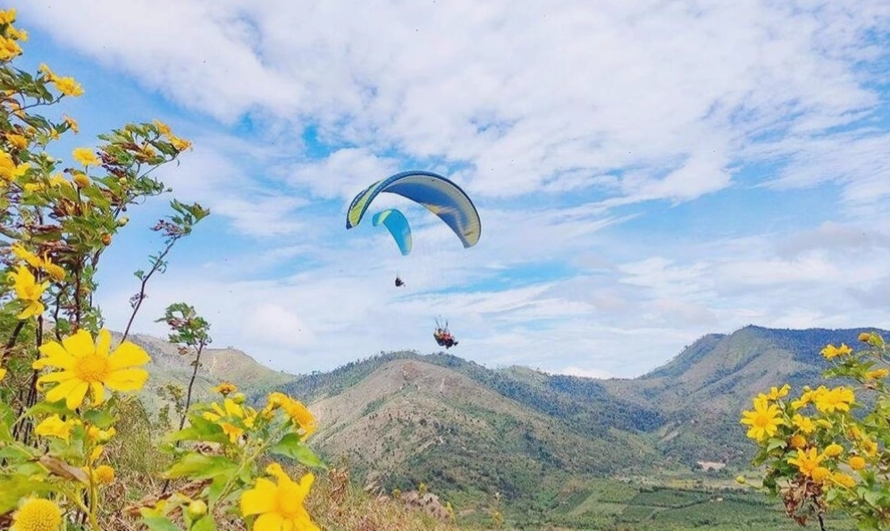Bay dù lượn từ đỉnh núi lửa để ngắm toàn cảnh sắc vàng hoa dã quỳ từ trên cao