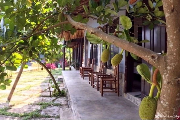 Bể bơi ngoài trời tại Mai Châu Sky Resort