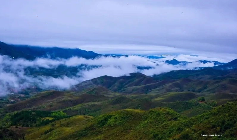 Biển mây bồng bềnh trên đỉnh A Pa Chải