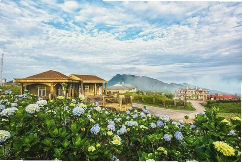 Biển mây bồng bềnh trên đỉnh Mẫu Sơn Lạng Sơn