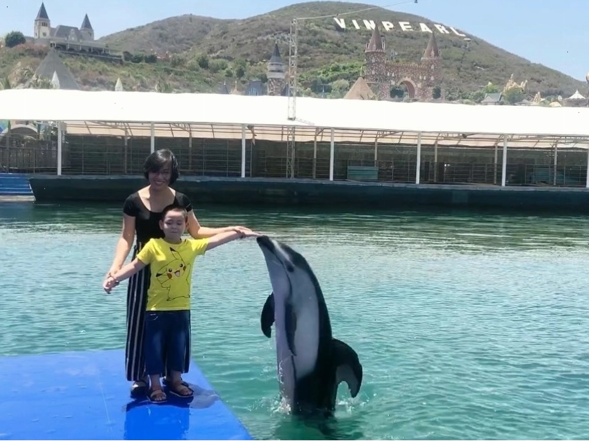 Biểu diễn cá heo tại VinWonders Nha Trang