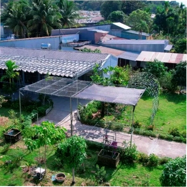 BiXu House, một lựa chọn lưu trú gần sân bay Phú Quốc