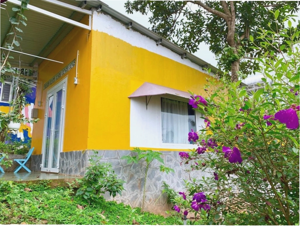 Bungalow mộc mạc gần trung tâm Gia Nghĩa