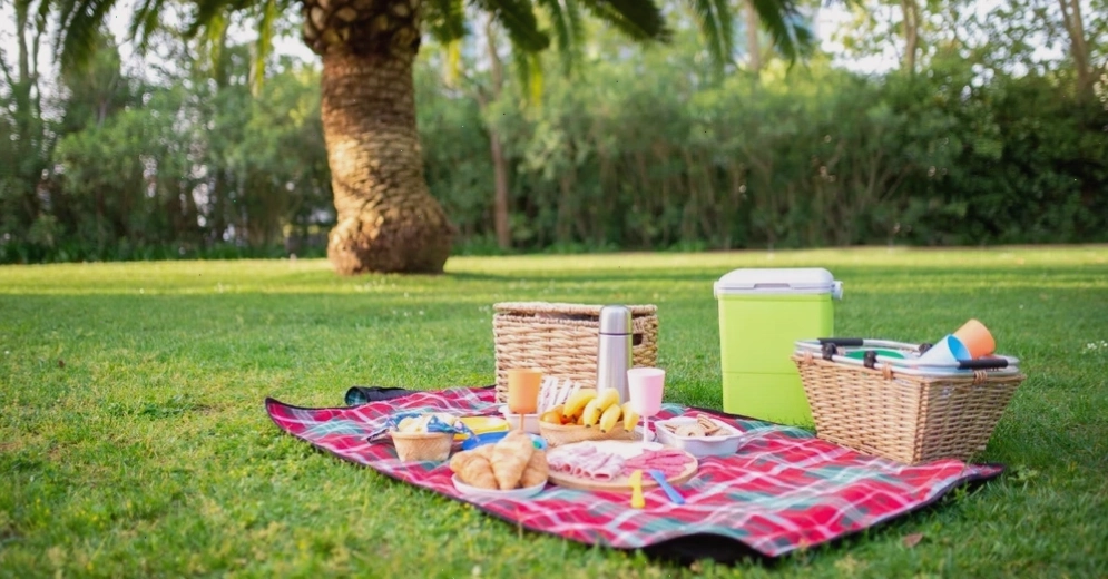 Buổi picnic ý nghĩa tại Công viên Gia Định
