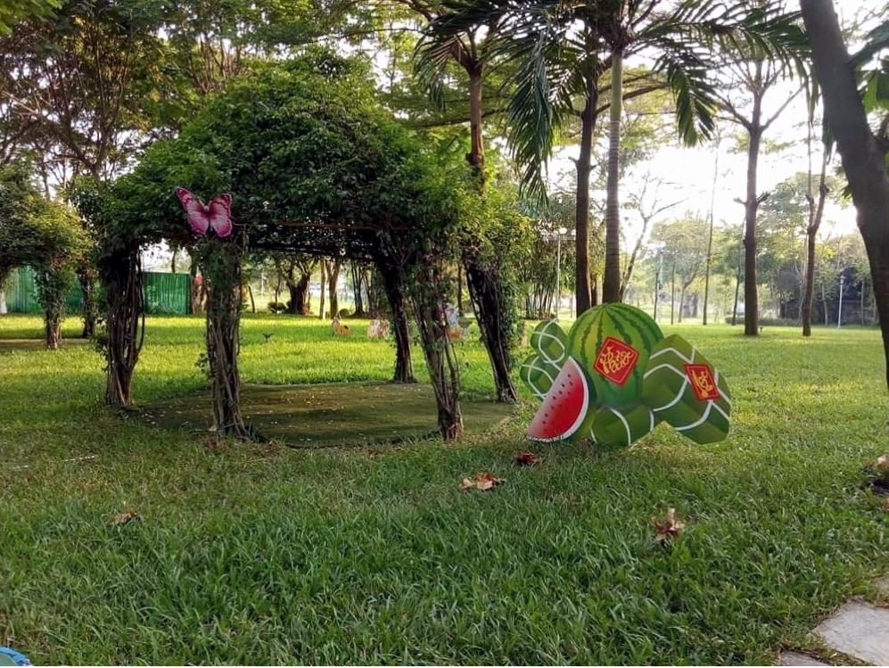 Các loại cây gỗ quý tại Công viên Khánh Hội Quận 4