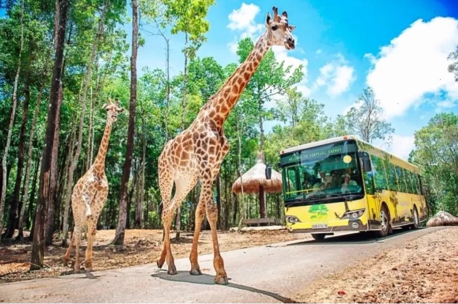 Các loài động vật hoang dã đa dạng tại Vinpearl Safari Phú Quốc