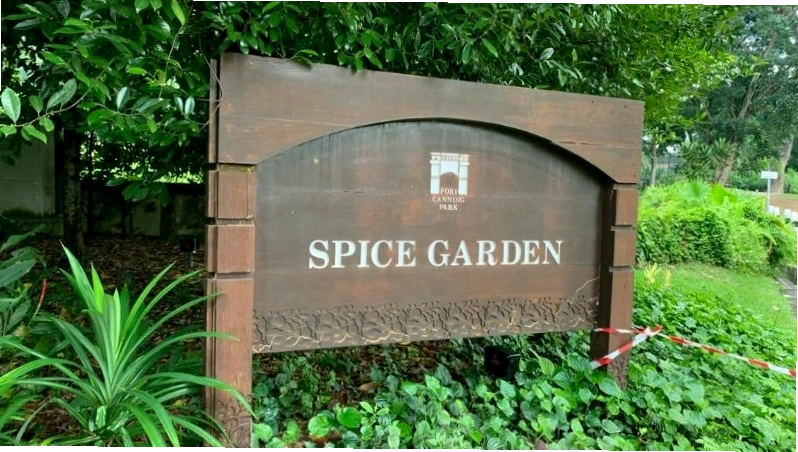 Các loại gia vị được trồng tại Vườn Gia vị Fort Canning Park