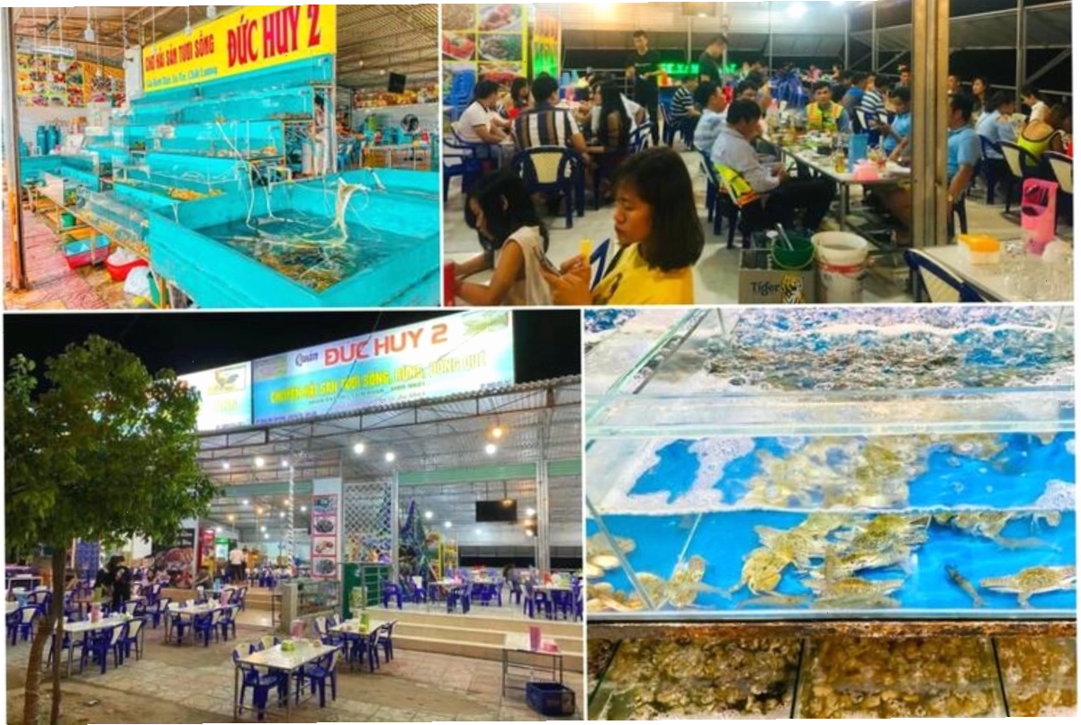 Các loại hải sản tươi sống tại nhà hàng Đức Huy Cam Ranh