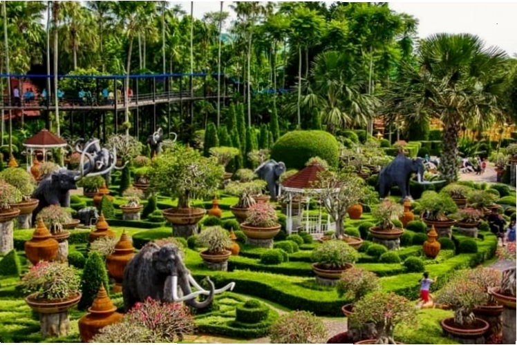 Các tác phẩm bonsai đầy tỉ mỉ với nhiều hình khối khác nhau tại công viên Nong Nooch