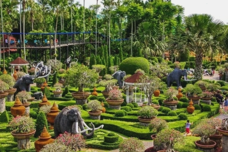 Các tác phẩm bonsai tỉ mỉ với nhiều hình khối khác nhau