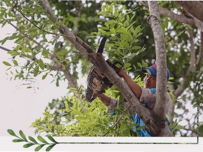 Các tiện ích công cộng được bố trí hợp lý trong công viên