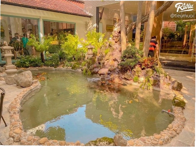 Cafe Phượng Các - Nam Kỳ Khởi Nghĩa: Không gian lý tưởng cho buổi hẹn hò và làm việc