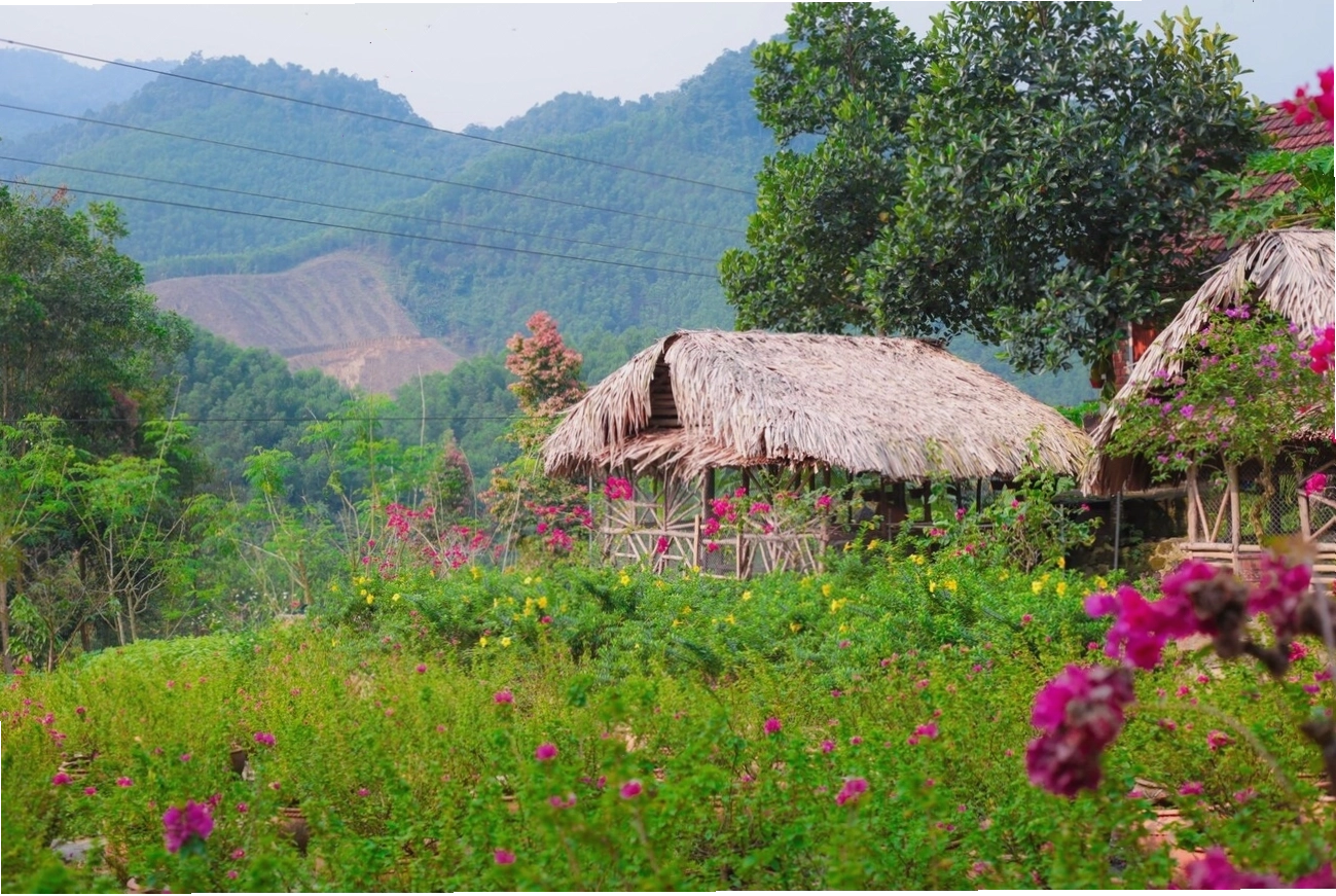 Cận cảnh dòng suối trong veo tại khu du lịch sinh thái Suối Hoa Đà Nẵng