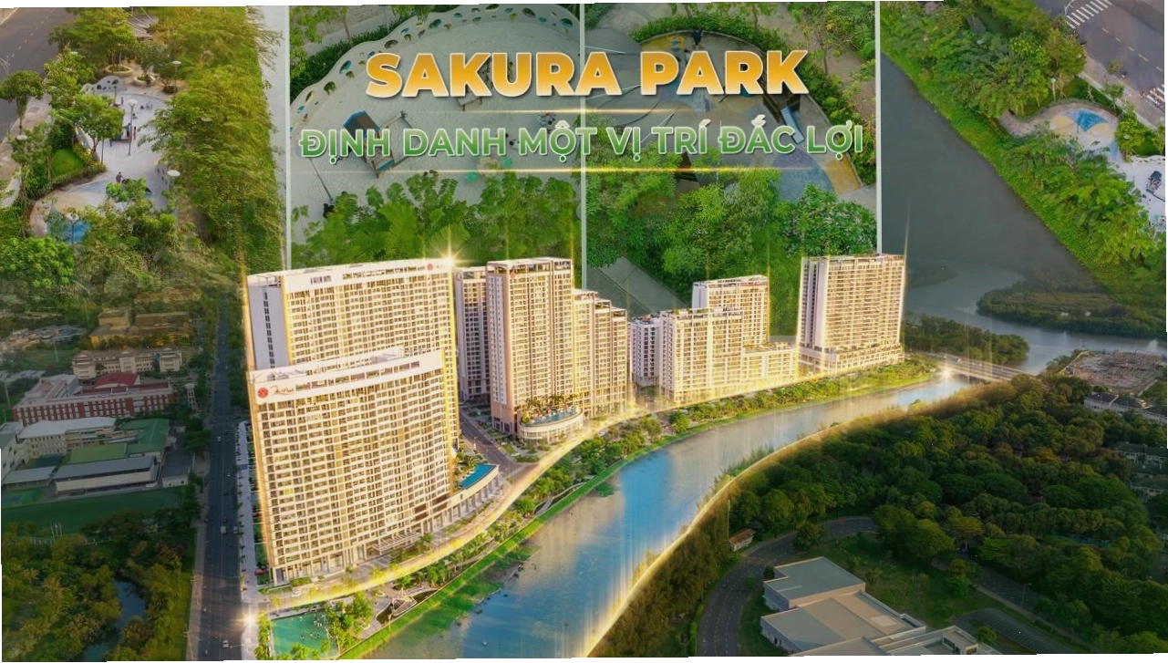 Cận cảnh hoa Singapore Sakura tại công viên