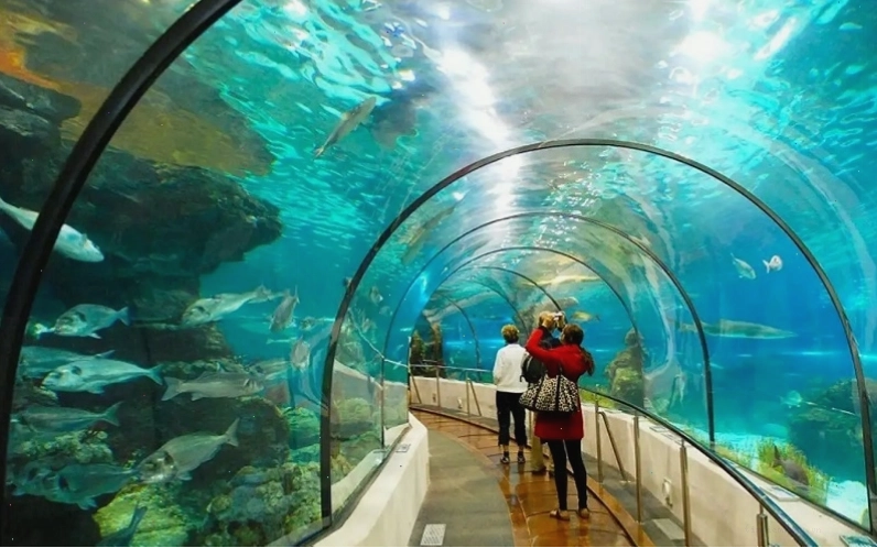 Cận cảnh một trò chơi tại Suối Tiên