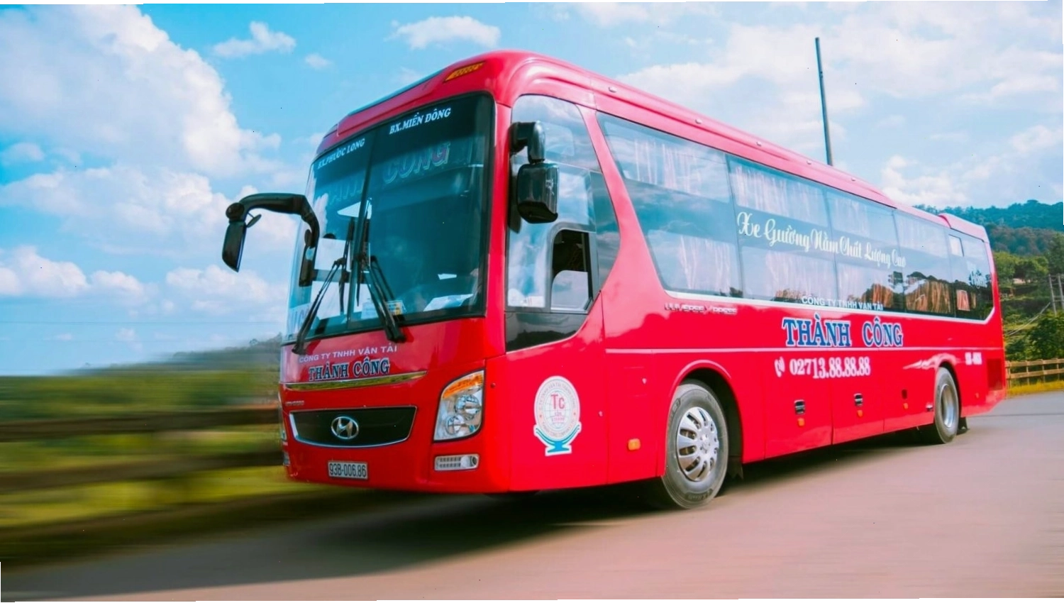 Cận cảnh những bông hoa cà phê trắng muốt tại khu vực Hồ Suối Lam
