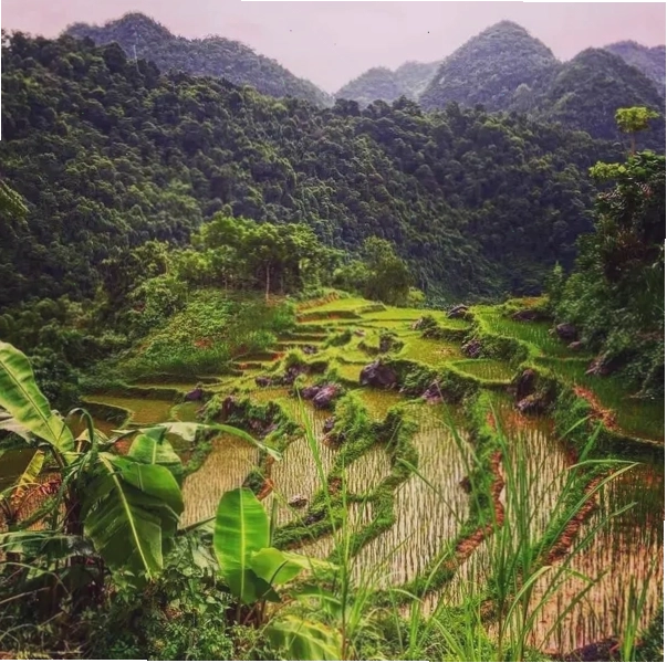 Cảnh đẹp hoang sơ trên đảo Hòn Mê