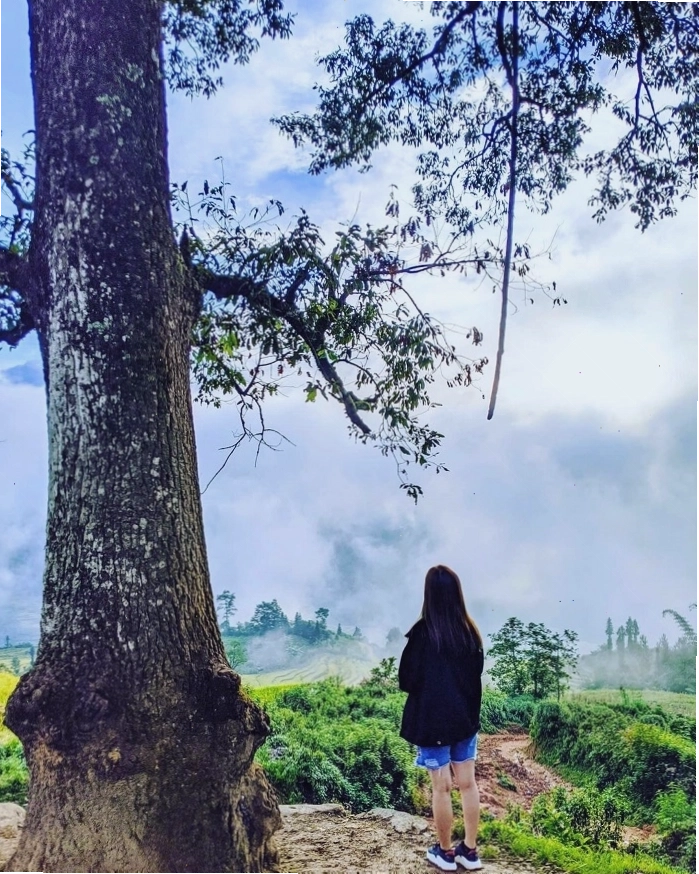 Cảnh đẹp thiên nhiên hùng vĩ tại Y Tý