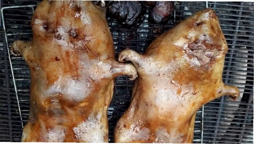 Cảnh đẹp thiên nhiên tại Hồ Núi Cốc