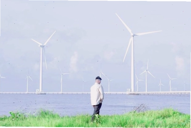 Cánh đồng điện gió Bạc Liêu với những trụ turbine khổng lồ