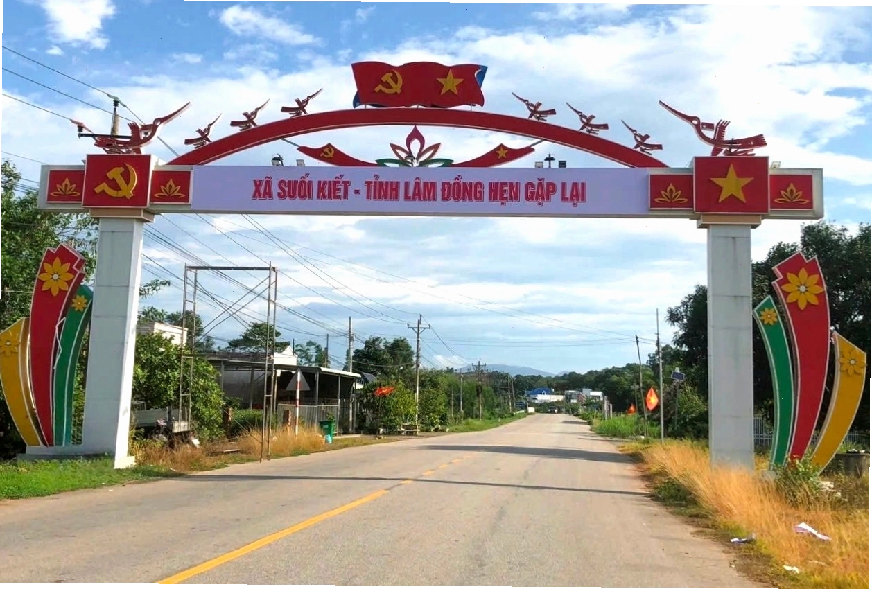 Cánh đồng lúa xanh mướt tại xã Suối Kiết