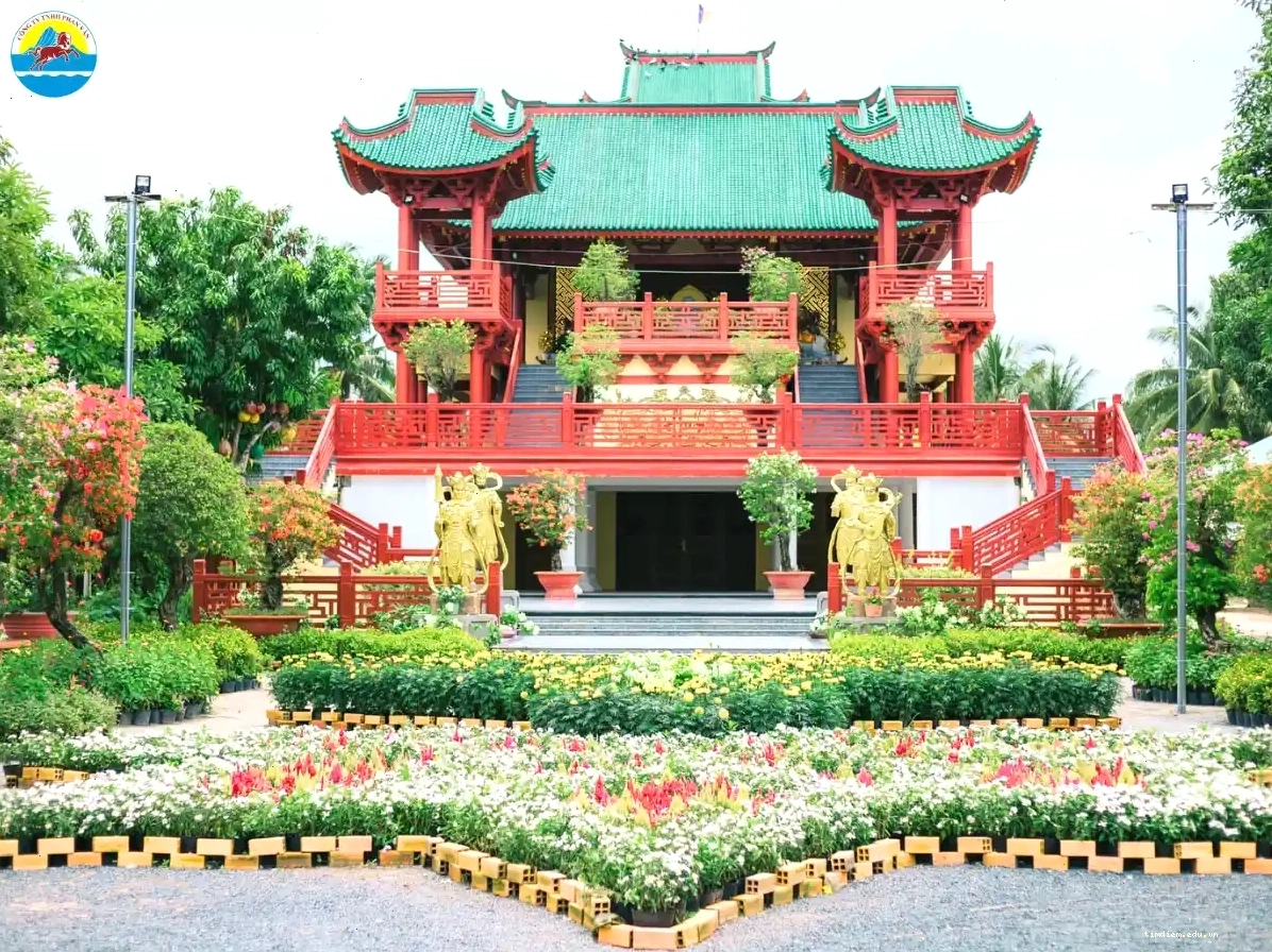 Cánh đồng thốt nốt Tà Pạ dưới nắng chiều vàng rực