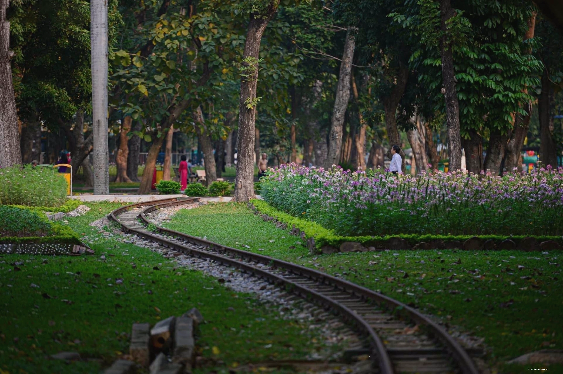 Cảnh hoàng hôn lãng mạn tại Công viên Thống Nhất