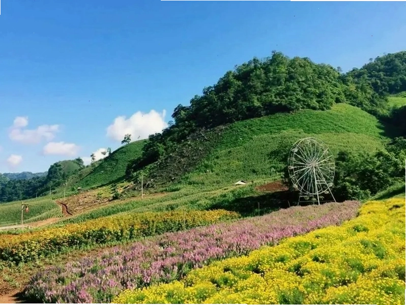 Cảnh quan ấn tượng nhìn từ Cầu kính Bạch Long
