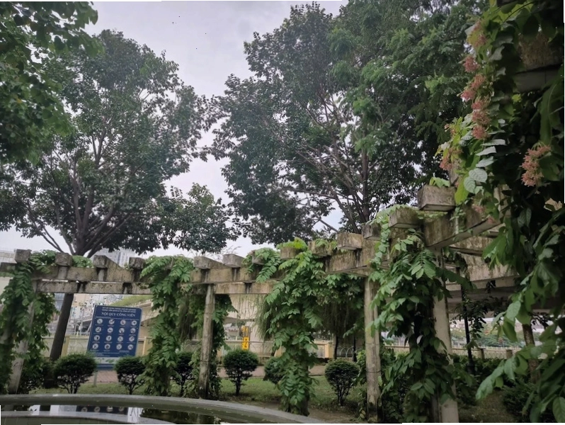 Cảnh quan cây xanh tại Công viên Tầm Vu
