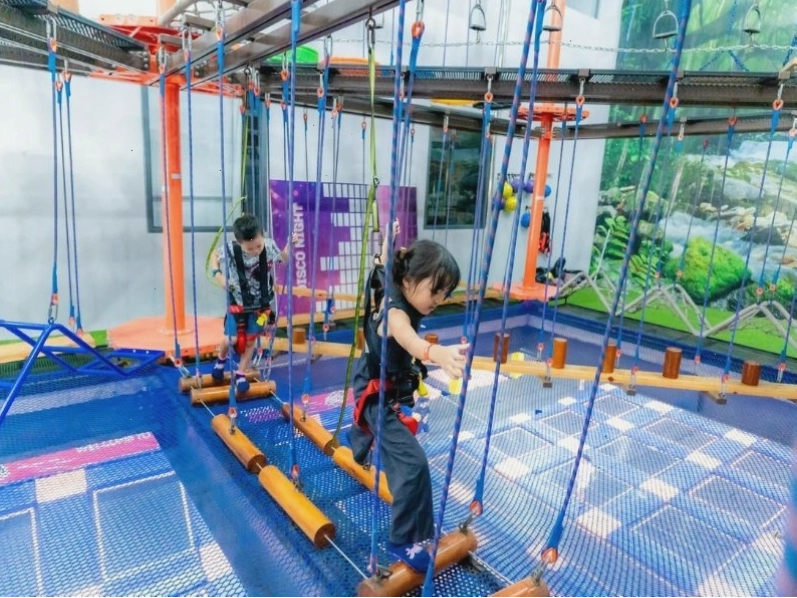 Cảnh quan cây xanh trong công viên
