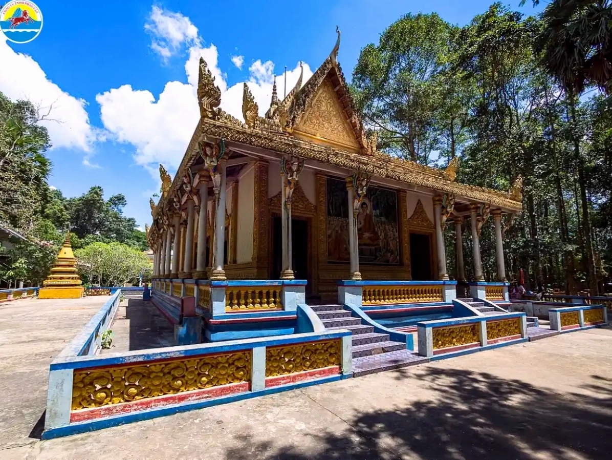 Cảnh quan Chùa Dơi Sóc Trăng với hàng cây trĩu bóng dơi