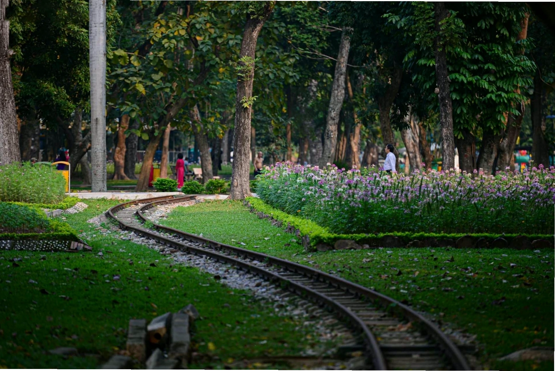 Cảnh quan Đảo Dừa tại Công viên Thống Nhất