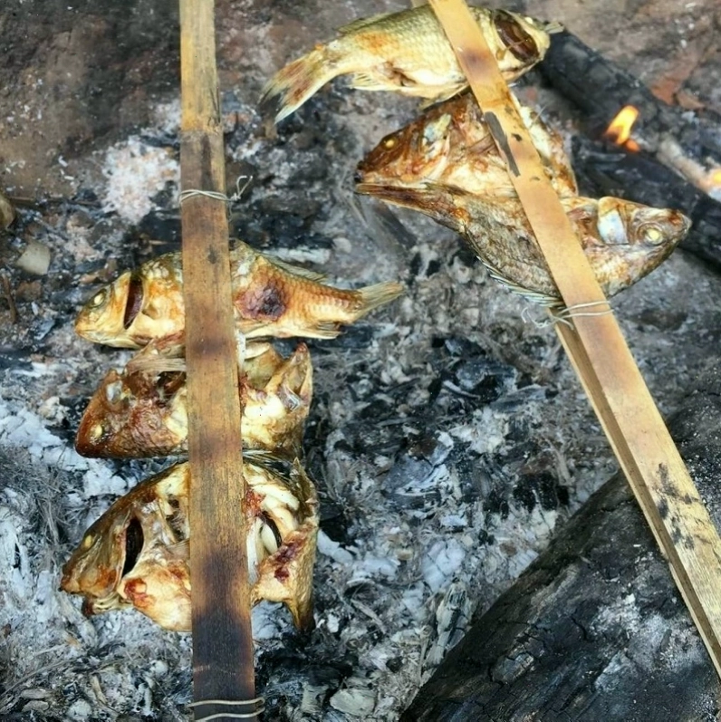 Cảnh quan dọc bờ suối